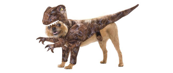 Animal Planet Raptor Pet Costume Size Medium