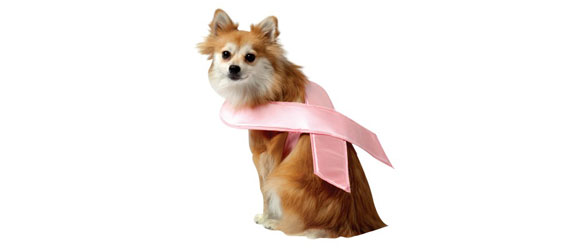 Pink Ribbon Dog Costume